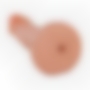 HUCHA CON FORMA DE PENE 6