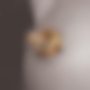 GOLD MAGNETIC CLAMPS 2