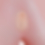 PAOLA PROFESSORA 10