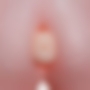 PAOLA PROFESSORA 11