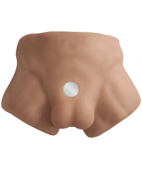 APOLLO S TORSO Torso masculino realista, alta calidad, flexible, textural humano