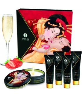 SHUNGA GEISHA SPARKLIN 5 tesouros para estimular como nunca antes