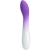 VIBRATEUR POINT G BISHOP 30 VIBRATIONS VIOLET