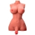 LINDO LADY BOY TORSO FEMININO COM DILDO COM VIBRAÇÃO E IMPUL