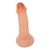 Hucha con Forma de Pene 22.5cm nº4