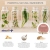 Sizegain plus 30 plantas