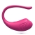 OEUF VIBRANT RECHARGEABLE AVEC TELECOMMANDE TAMAGO CRUSHIOUS