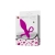 Plug Anal con Vibración Taylor Color Púrpura nº7