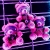 ANNEAU PORTE-CLEFS EN FORME D'OURS CRUSHITO AVEC COURANTS CR