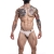 SLIP VITA BASSA SILVER M nº2
