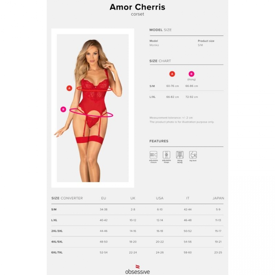 AMOR CHERRIS CORSET &A 14