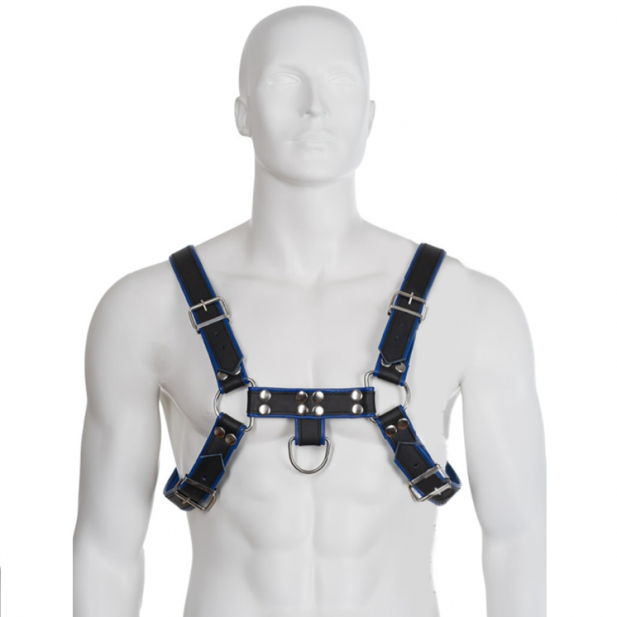 IMBRACATURA BULLDOG PETTO CORPO IN PELLE PELLE NERA / BLU