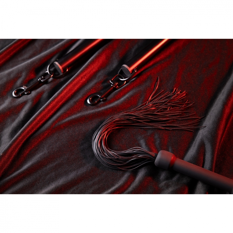 EL EXTENSOR CARDINAL 4