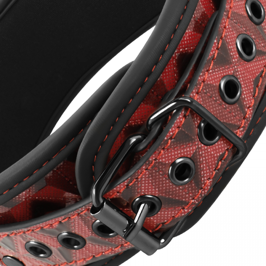 RED EDITION  LEASH 5