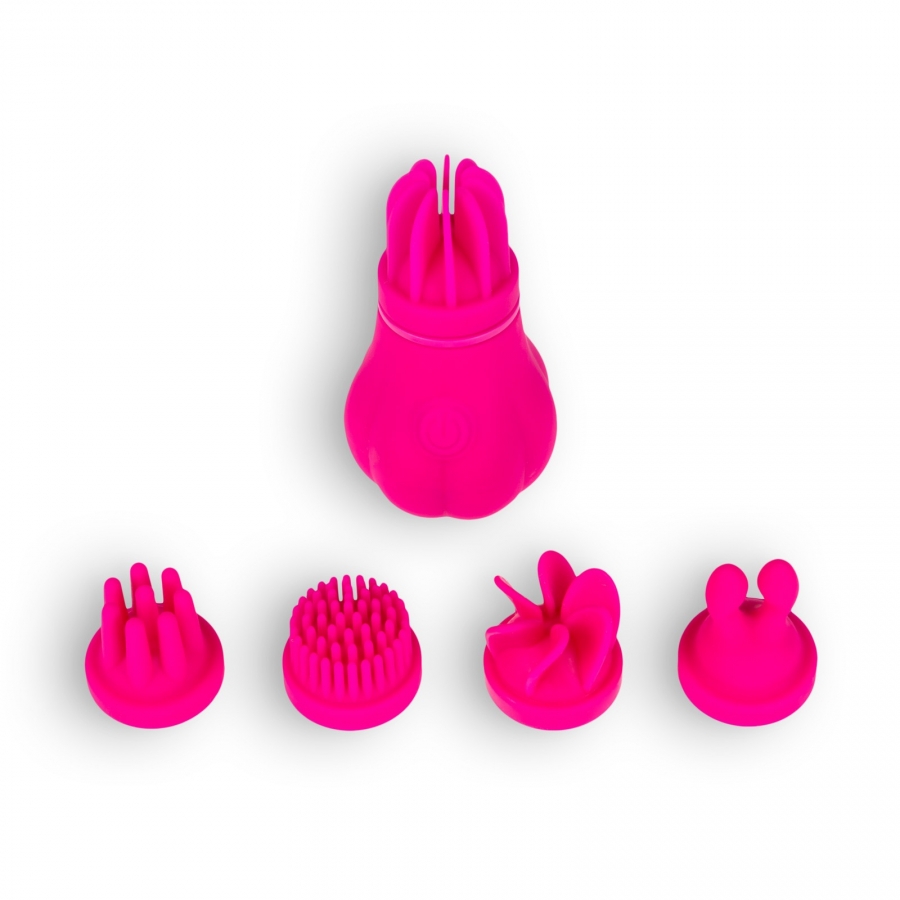 CARESS 4