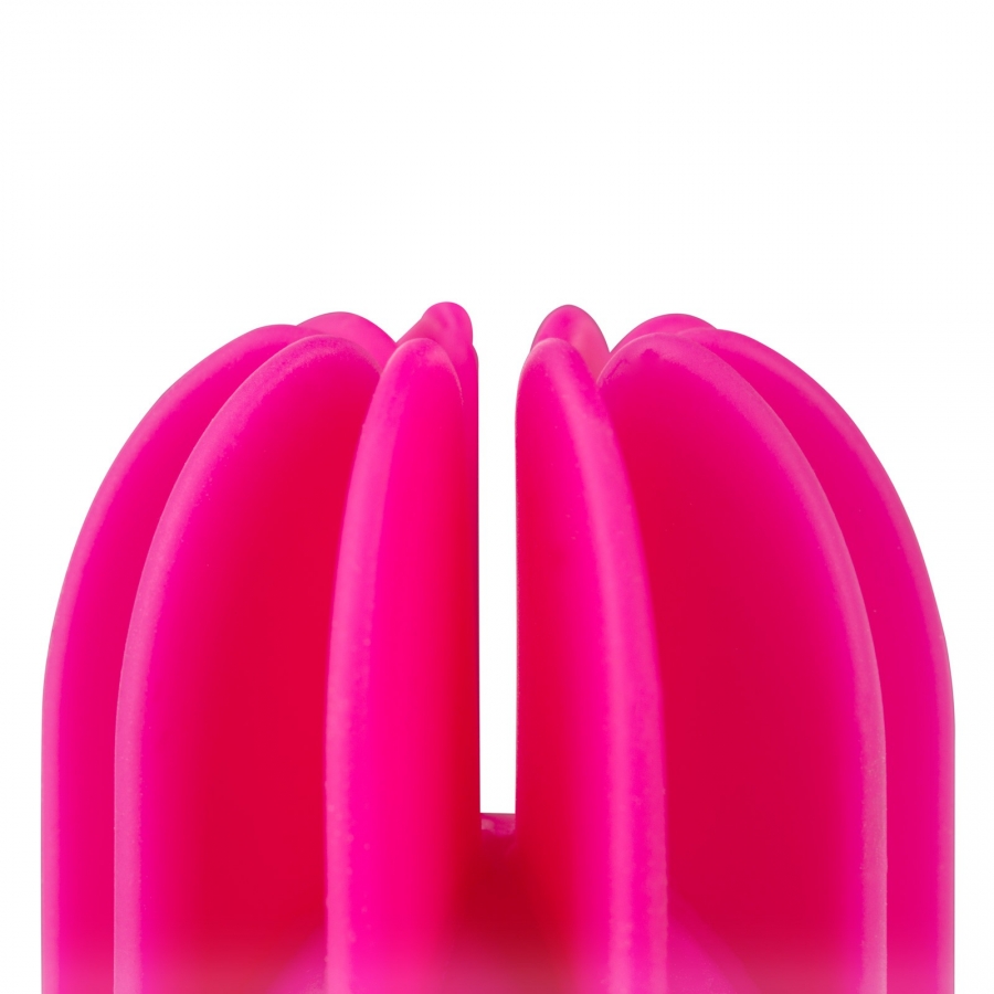 CARESS 2