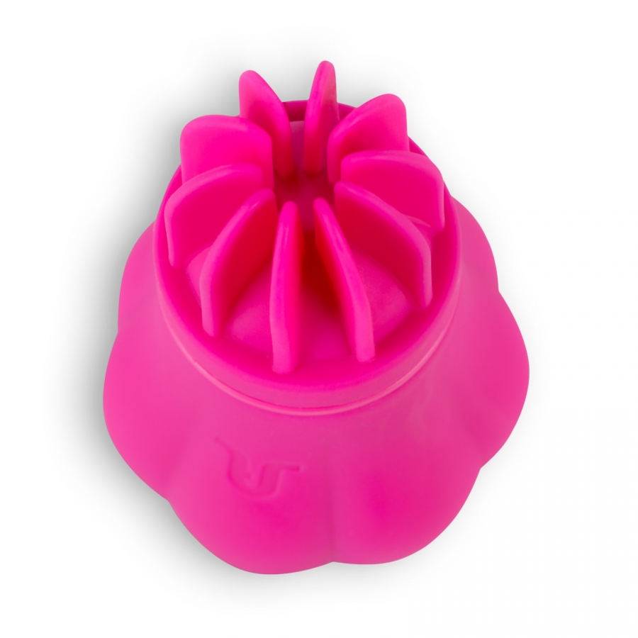 CARESS 5