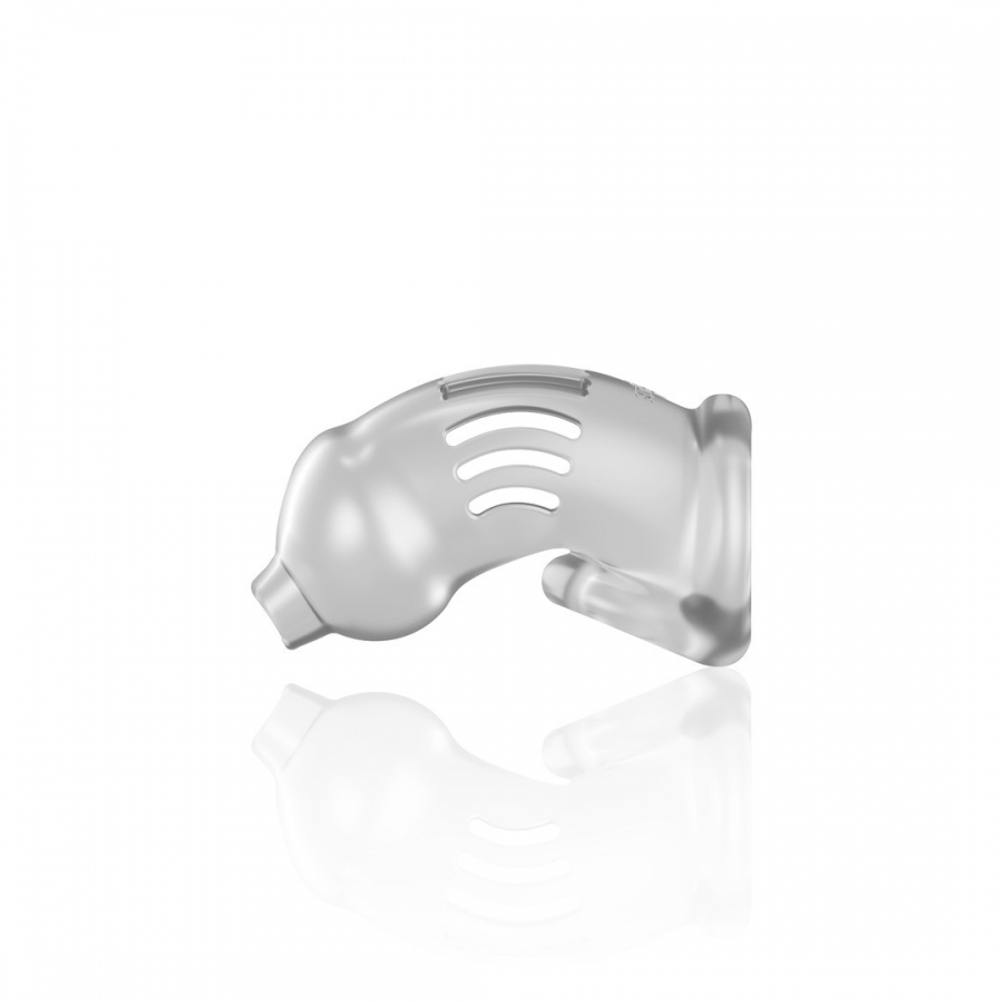 JAULA MODEL 29 CHASTITY 4