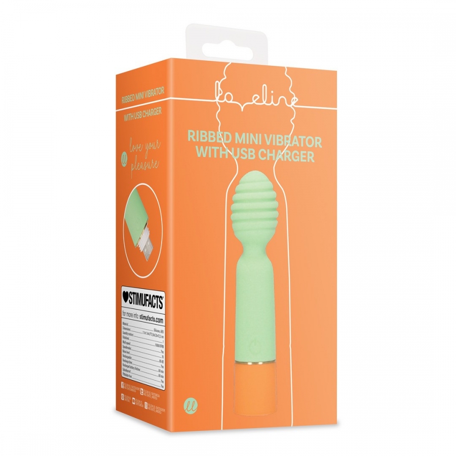 MENTA MINI 4