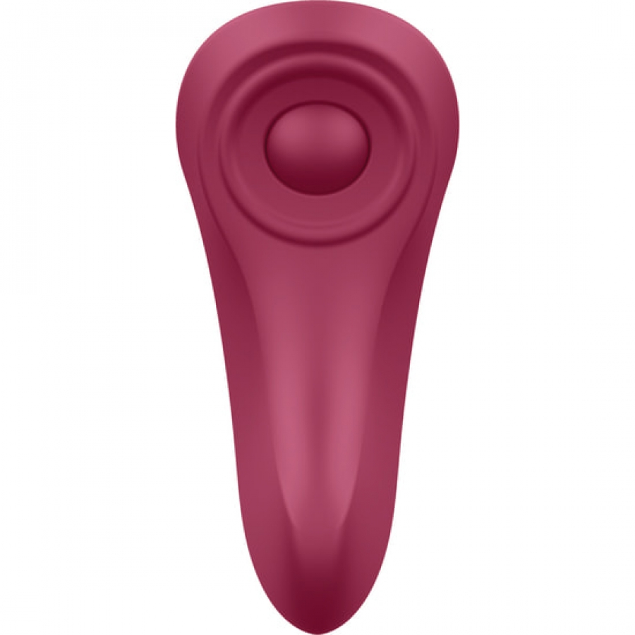 SATISFYER SEXY SECRET PANTY 8