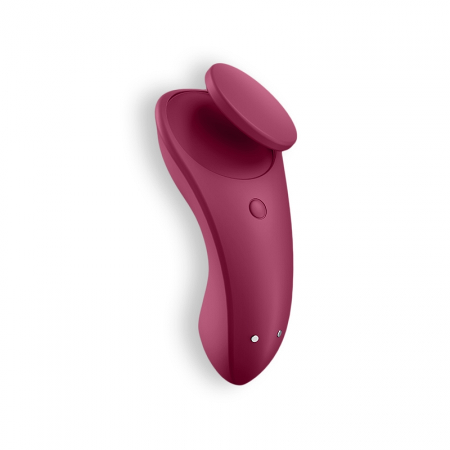 SATISFYER SEXY SECRET PANTY 22