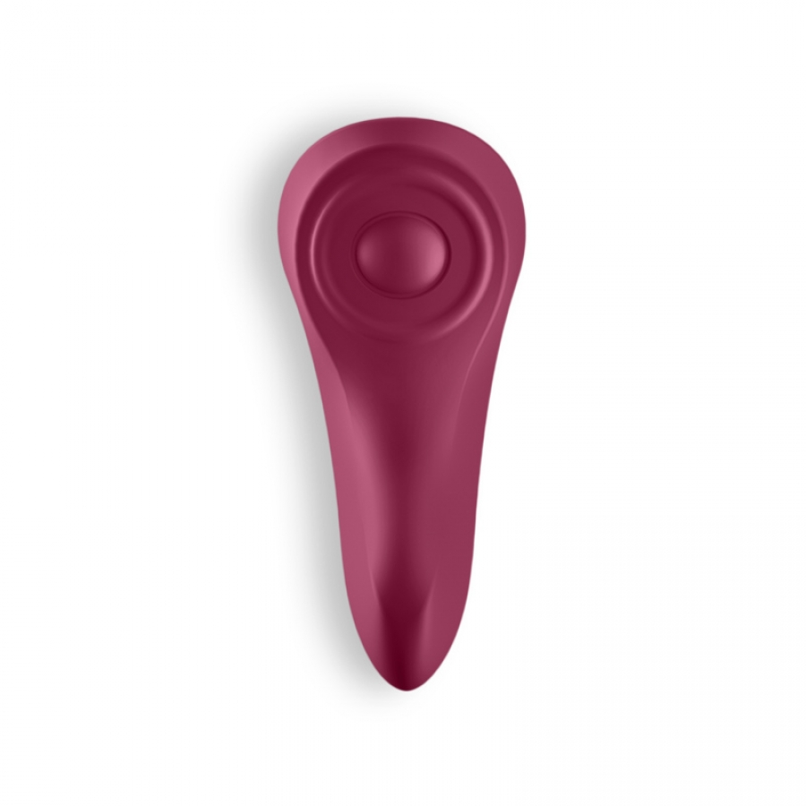 SATISFYER SEXY SECRET PANTY 24