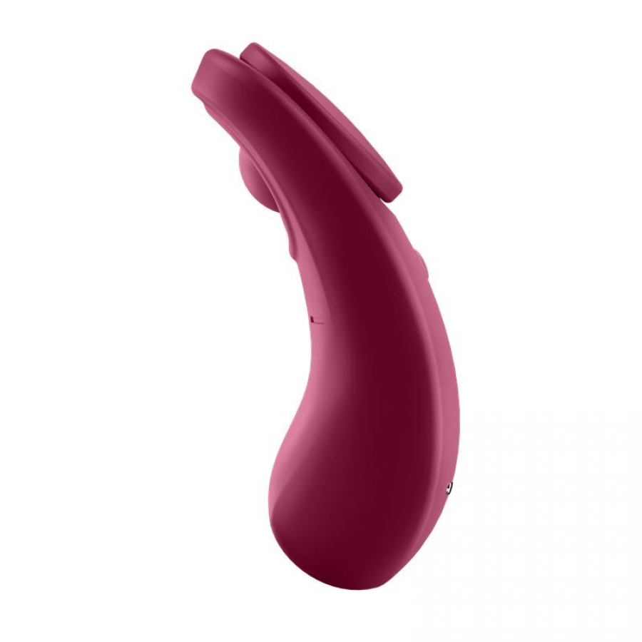 SATISFYER SEXY SECRET PANTY 31