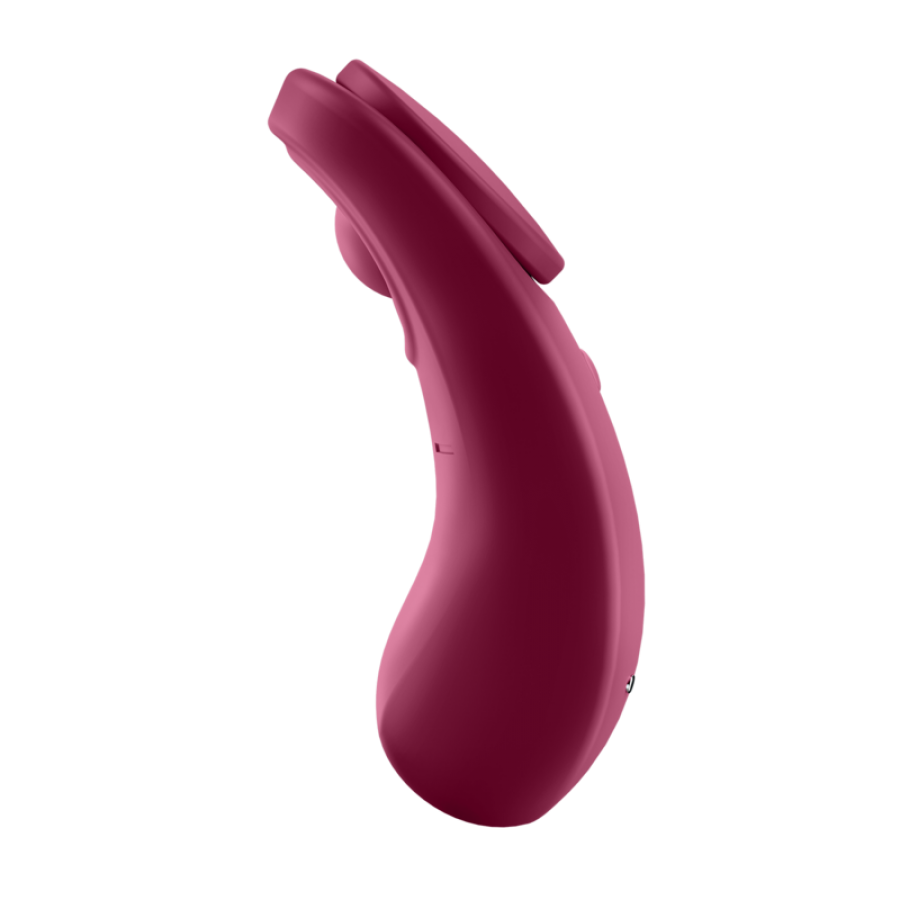 SATISFYER SEXY SECRET PANTY 38