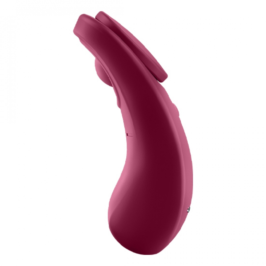 SATISFYER SEXY SECRET PANTY 14