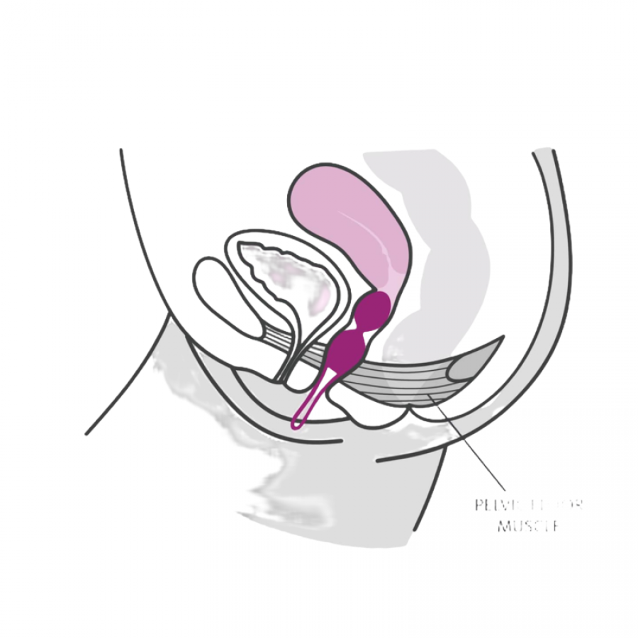 SMARTBALLS DUO BOLAS PELVICAS  3