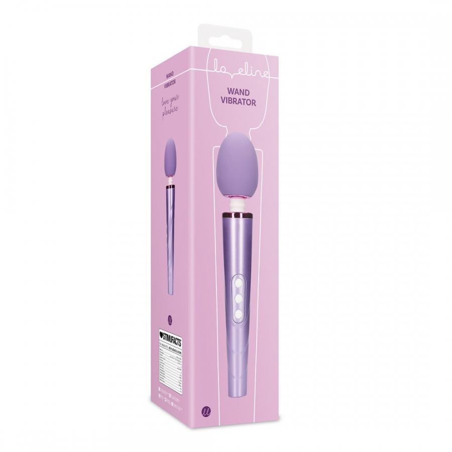 WAND VIBRATOR 2