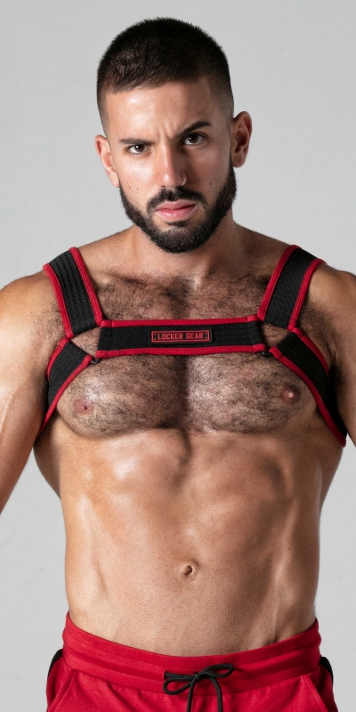 LOCKER RED Harnais élégant et audacieux avec maille élastique et détails métalliques.
