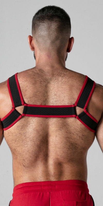 LOCKER RED Harnais élégant et audacieux avec maille élastique et détails métalliques.