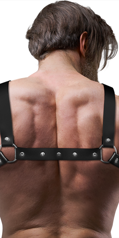 BULLDOG STRAP Imbracatura frontale per il petto elegante