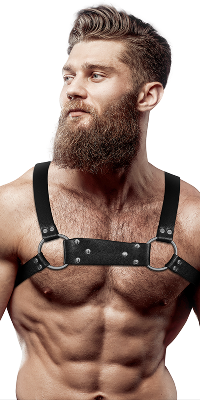 BULLDOG  CHEST CLUB Harnais frontal pour la poitrine : mettez en valeur votre silhouette