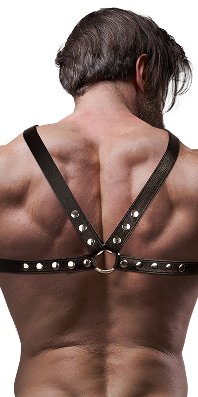 BRIGADE Harness frontale per il petto, elegante e regolabile