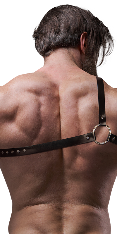 ATTITUDE UNIC Arnés frontale per il corpo, design esclusivo