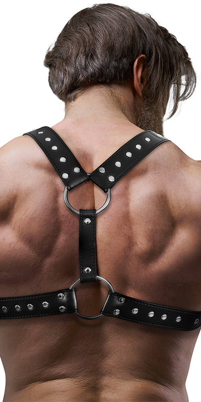 ATTITUDE STUDS Arnese frontale per il petto - vívelavita