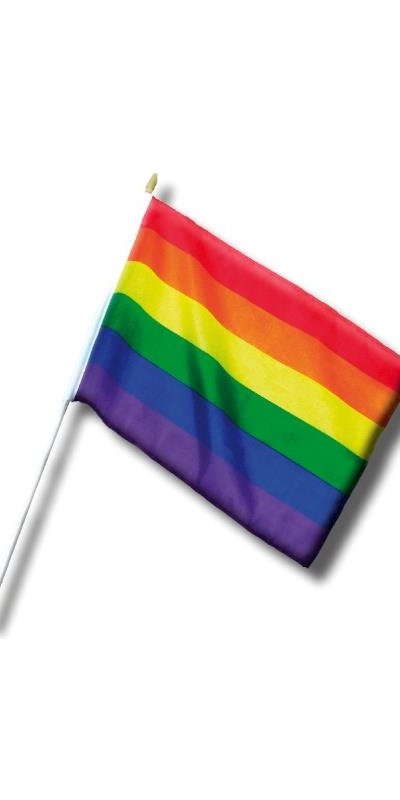 BANDERÍN Vibratore lilla: piacere e stimolazione per la coppia