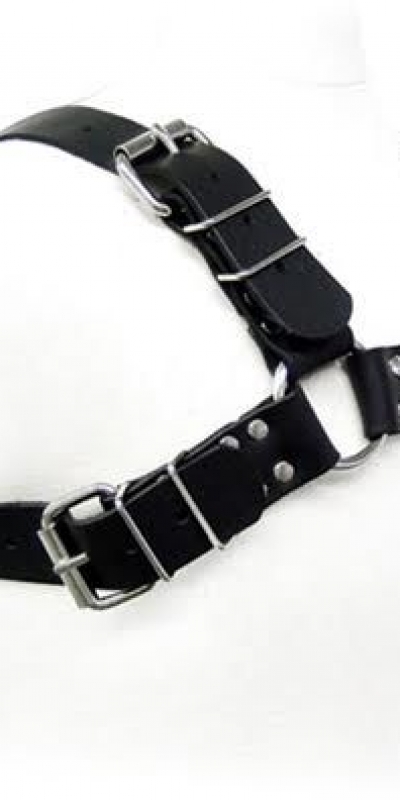 BLACK BULL DOG HARNESS Lingerie sexy et sophistiquée pour mettre en valeur la sensualité