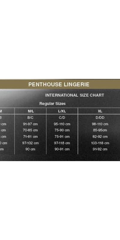 PENTHOUSE  PASSION Corps en dentelle sexy, élégant et provocateur.