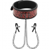 Collana con pinze per capezzoli: accessori bdsm eccitanti